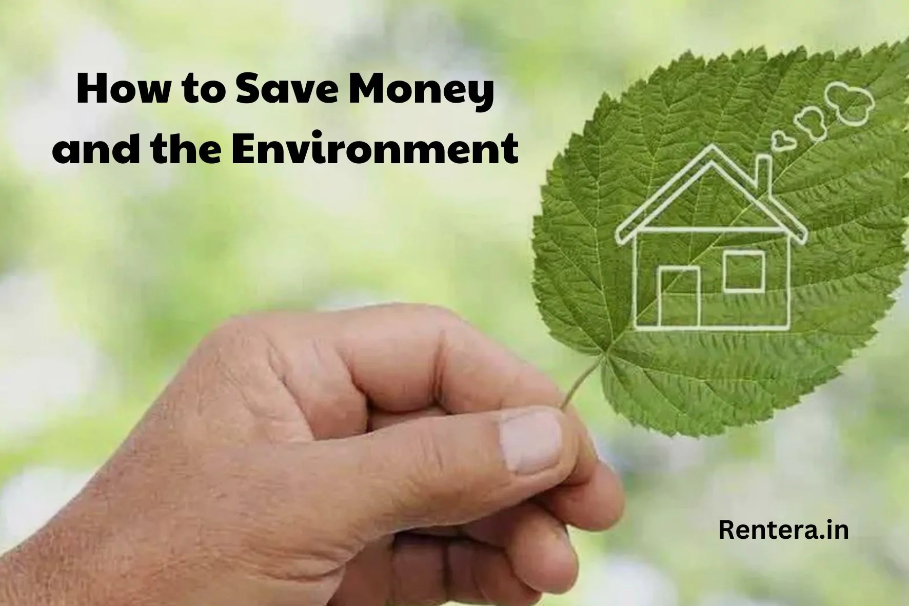 Renting Responsibly: How to Save Money and the Environment